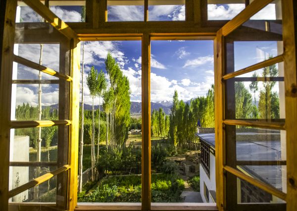 Cost of Wood Window Replacement in Saint Cloud