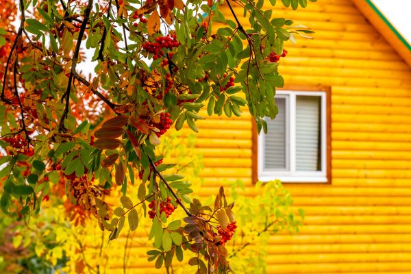 Cost of Garden Window Replacement in Saint Cloud